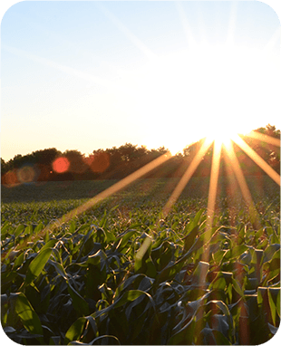 about verde agrotech